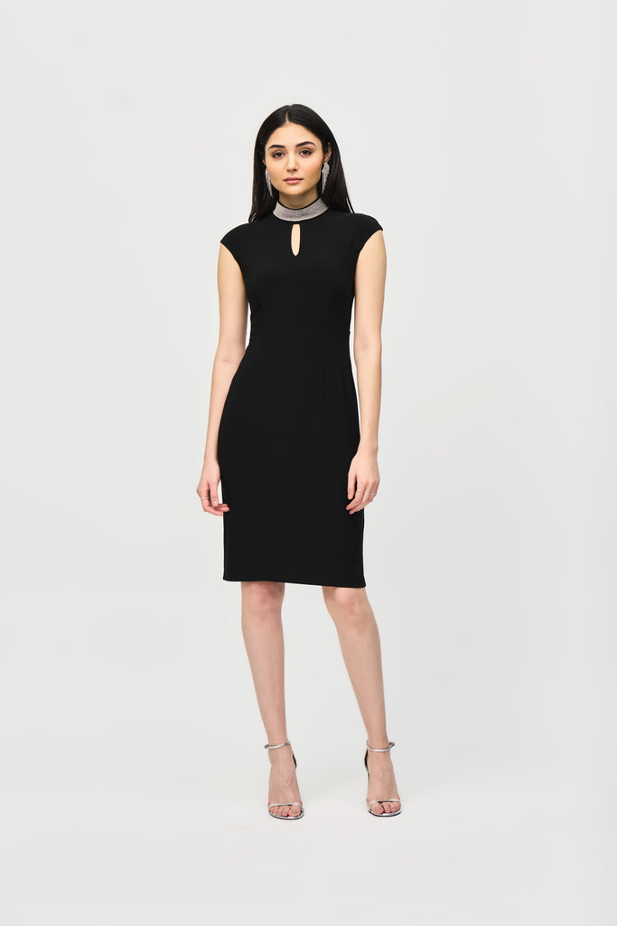 Silky Knit Embellished Collar Fitted Dress (243313)